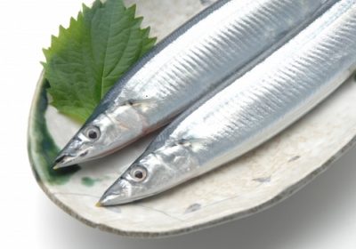 魚