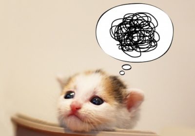 ペットのおもらし